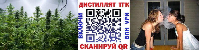 цены Светогорск MEGA маркетплейс ТГК вейп
