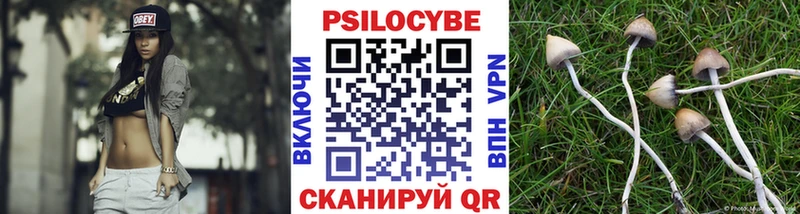 цены наркотик Светогорск Псилоцибиновые грибы Cubensis