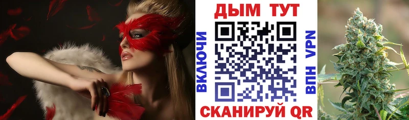 kraken маркетплейс  Светогорск  МАРИХУАНА сатива  где продают  